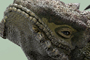 'Killer Lizard' - Keyshot render alone - Personal project