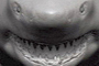 'Shark' - ZBrush BPR render - Untextured and textured on the bottom.