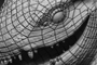 'Taxiceratopo' - Professional project - Wirteframe stills.